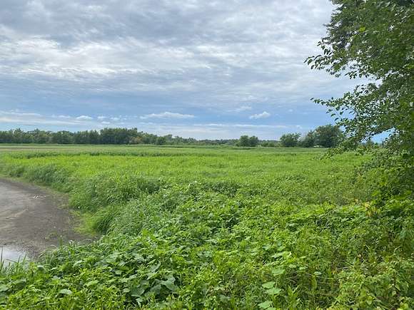 80 Acres of Land for Sale in Metamora, Illinois