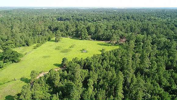 56 Acres of Recreational Land & Farm for Sale in Waller, Texas