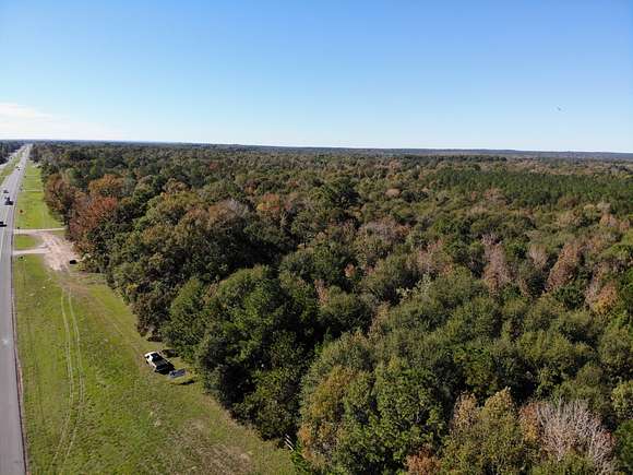 31.3 Acres of Land for Sale in Livingston, Texas