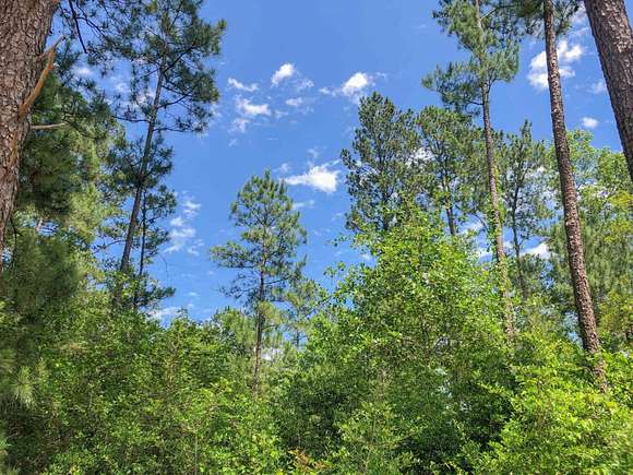 388 Acres of Land for Sale in Huntsville, Texas