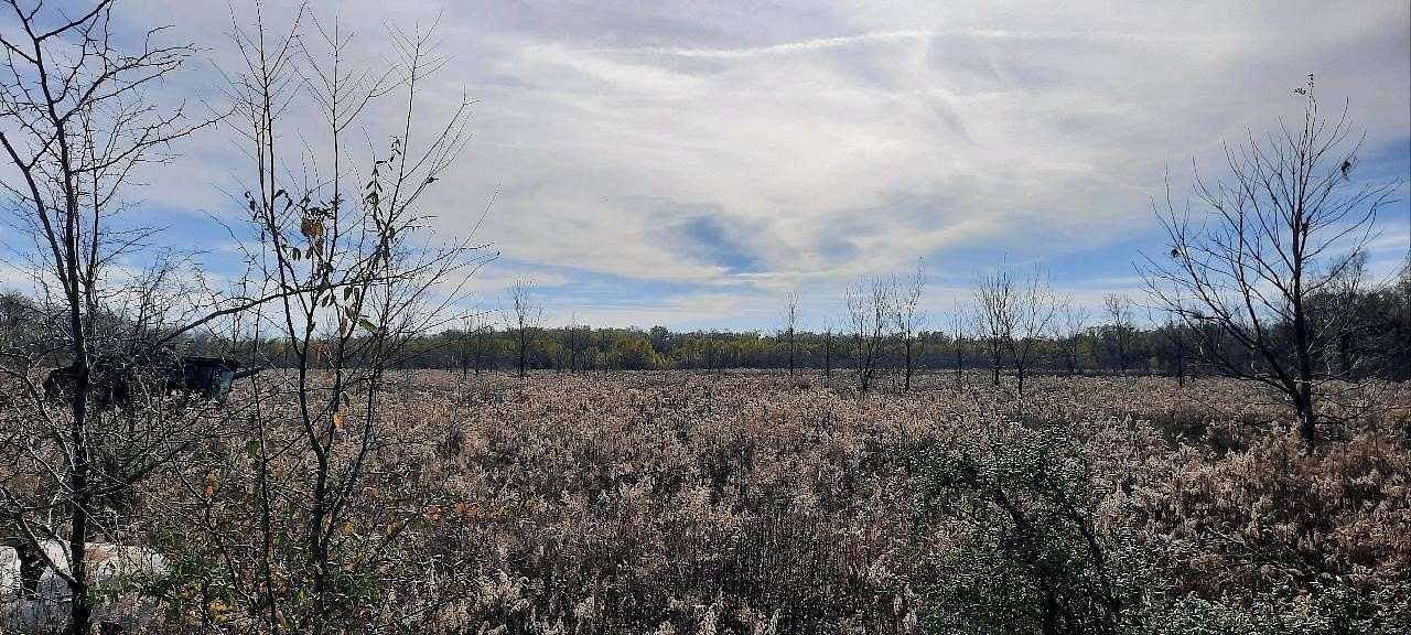 133 Acres of Land for Sale in Natchitoches, Louisiana