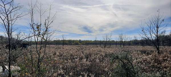 133 Acres of Land for Sale in Natchitoches, Louisiana