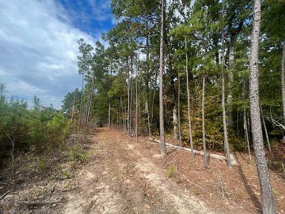 40 Acres of Land for Sale in Princeton Township, Arkansas