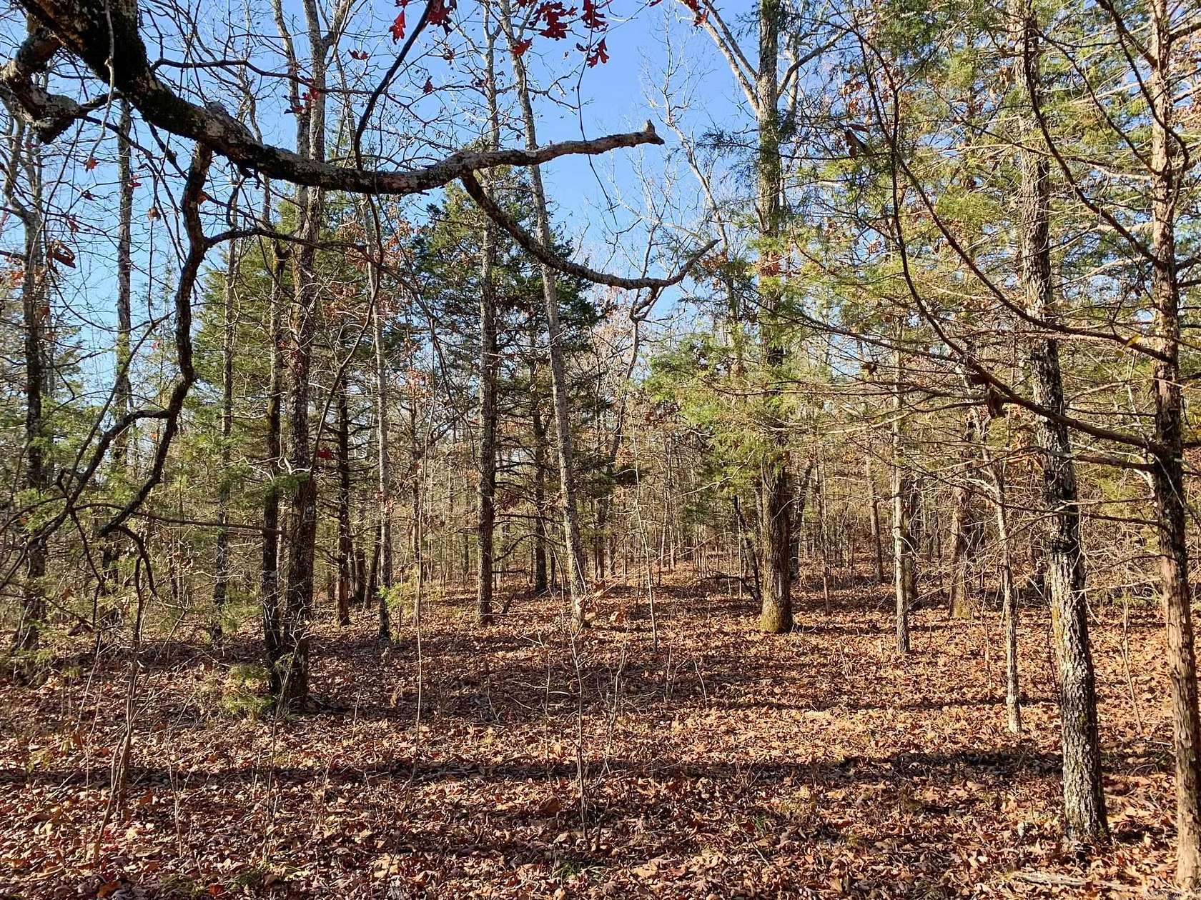 25 Acres of Land for Sale in Bee Branch, Arkansas