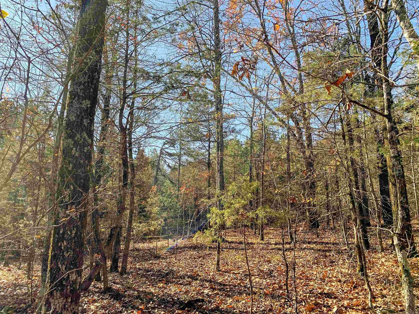 16 Acres of Land for Sale in Bee Branch, Arkansas
