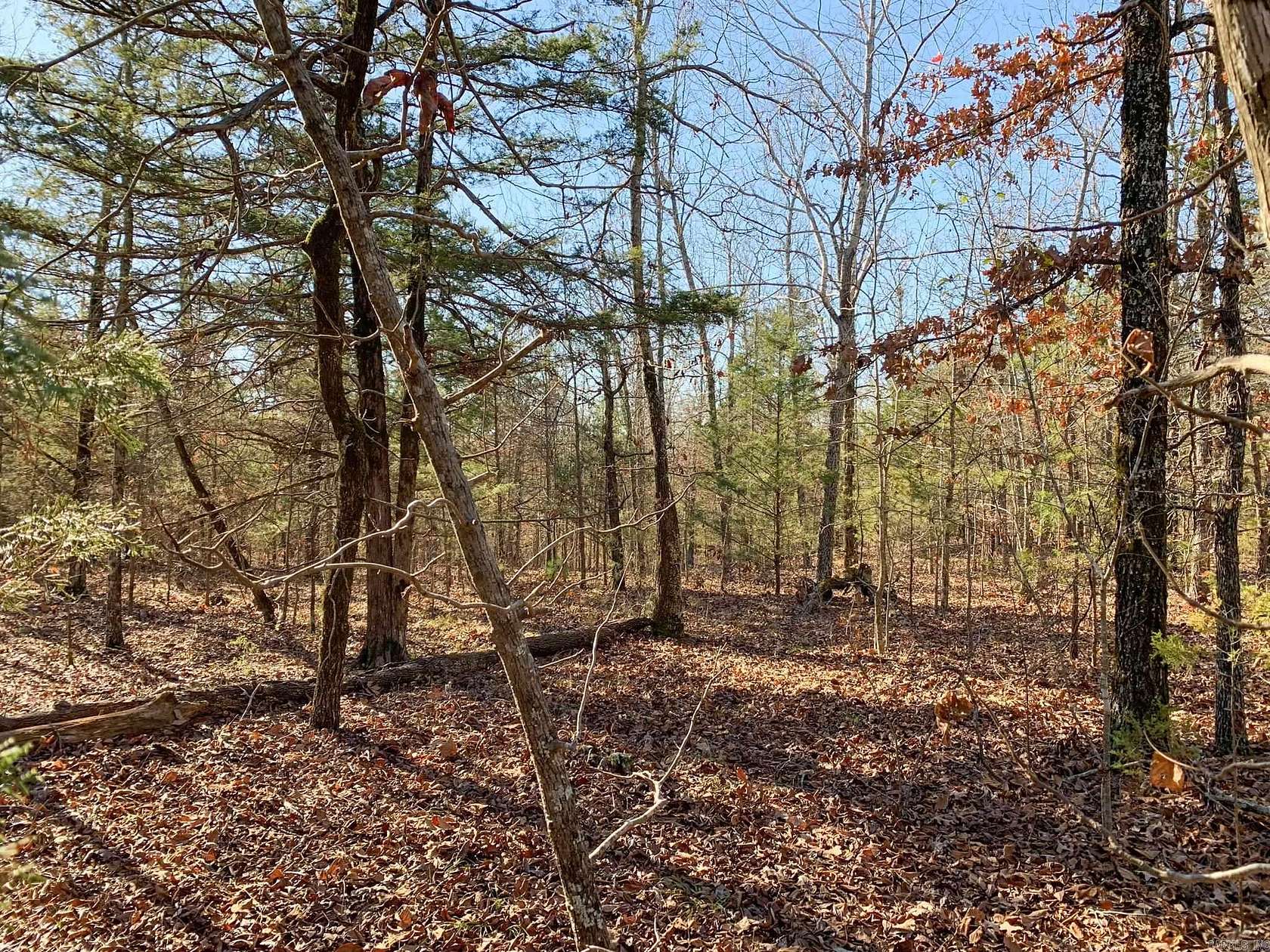 15 Acres of Land for Sale in Bee Branch, Arkansas