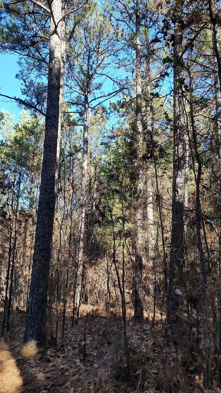11.5 Acres of Recreational Land for Sale in Watson, Oklahoma