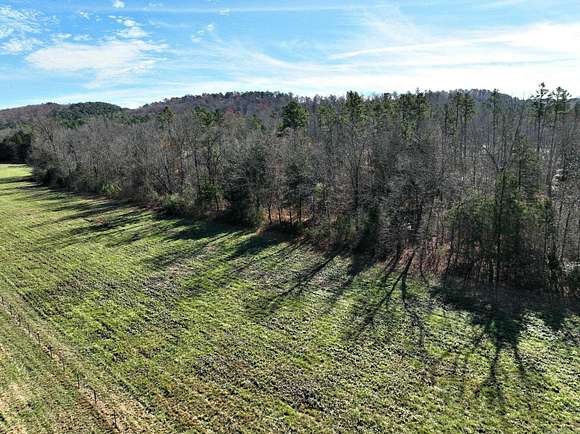 8.29 Acres of Residential Land for Sale in Mena, Arkansas