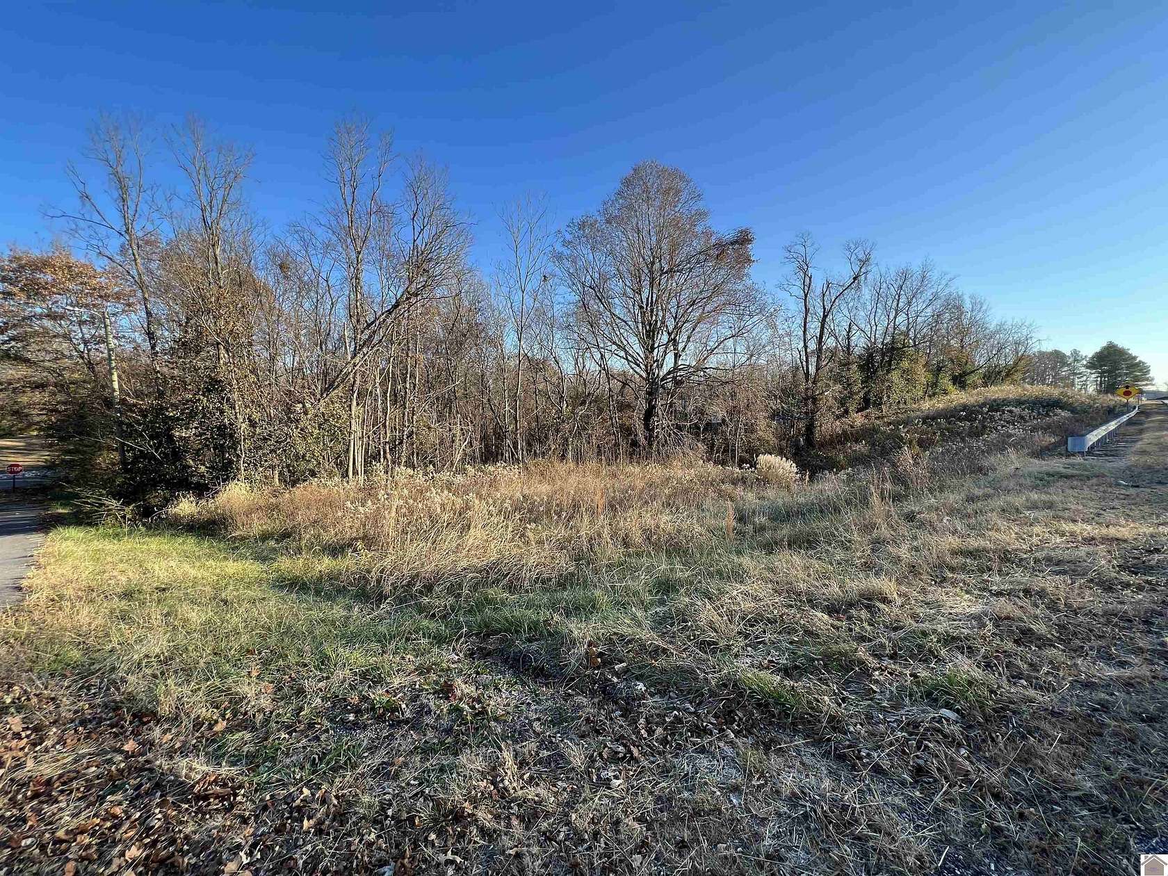 1 Acre of Residential Land for Sale in Wingo, Kentucky
