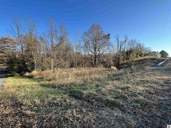 1 Acres of Residential Land for Sale in Wingo, Kentucky