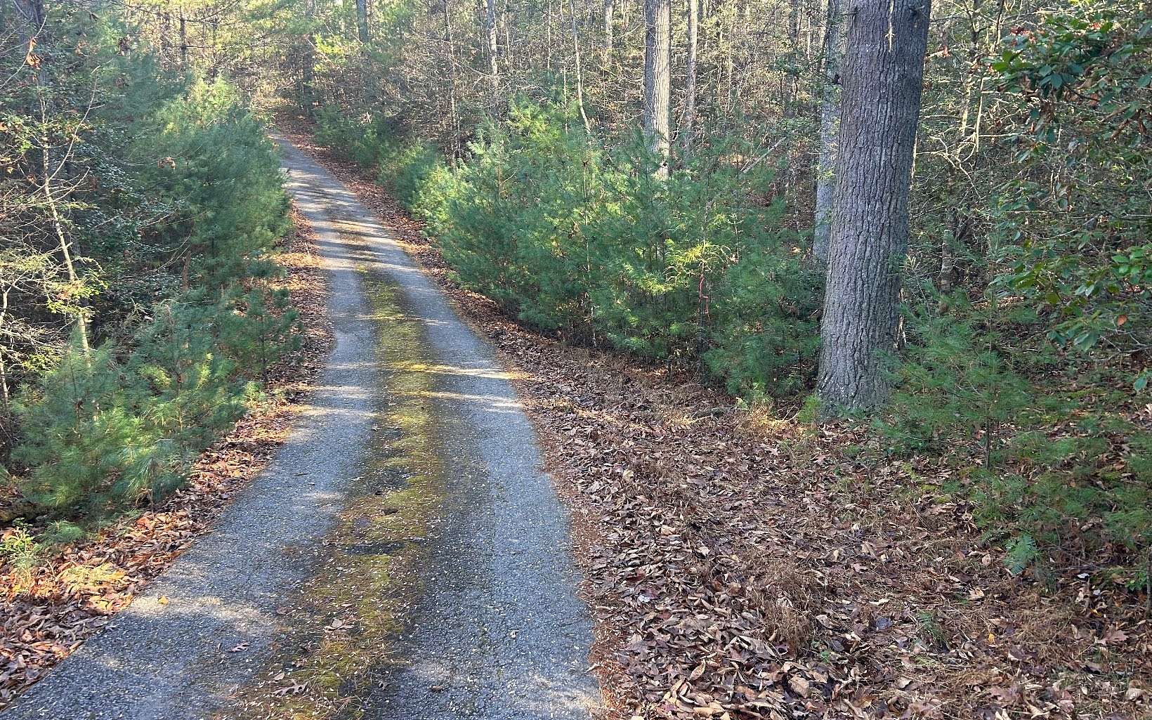 2.1 Acres of Land for Sale in Blairsville, Georgia