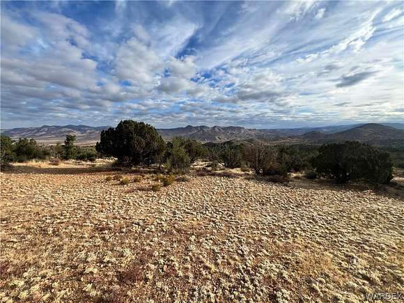40.1 Acres of Land for Sale in Hackberry, Arizona