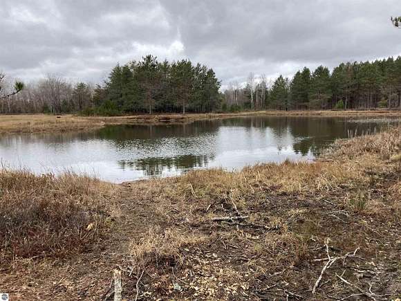 236 Acres of Recreational Land for Sale in Merritt, Michigan
