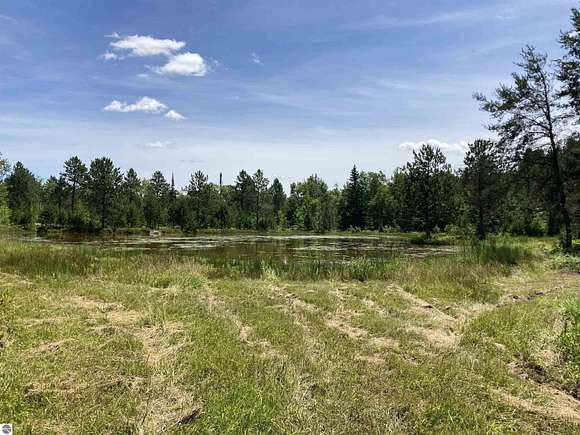 236 Acres of Recreational Land for Sale in Merritt, Michigan