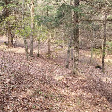 50 Acres of Recreational Land for Sale in Plymouth, New York