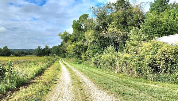 73.5 Acres of Recreational Land & Farm for Sale in Greeley, Iowa