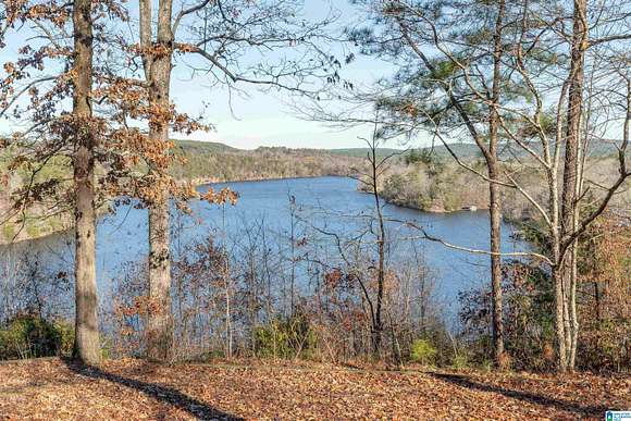 2.8 Acres of Residential Land with Home for Sale in Adger, Alabama