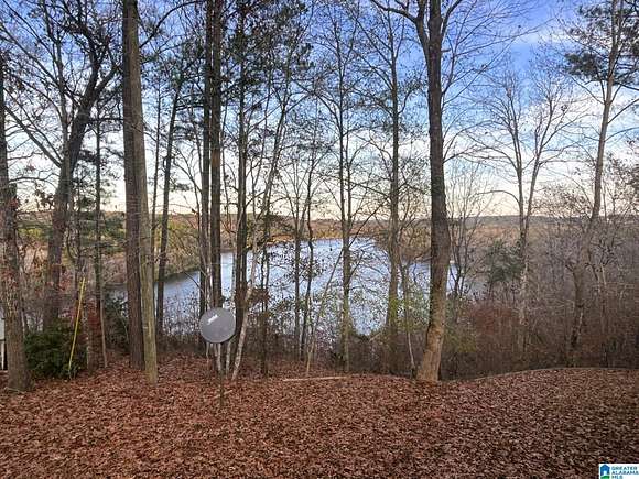 2.8 Acres of Residential Land with Home for Sale in Adger, Alabama
