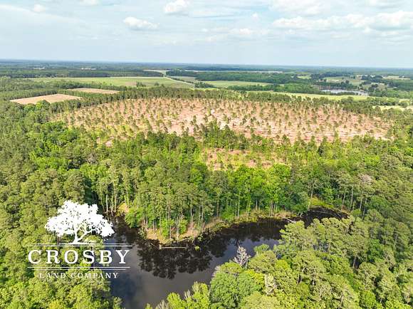 116 Acres of Recreational Land for Sale in Blackville, South Carolina
