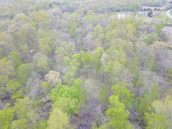 25 Acres of Recreational Land for Sale in Tunnel Hill, Illinois