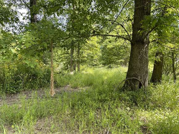 81 Acres of Recreational Land for Sale in West Frankfort, Illinois