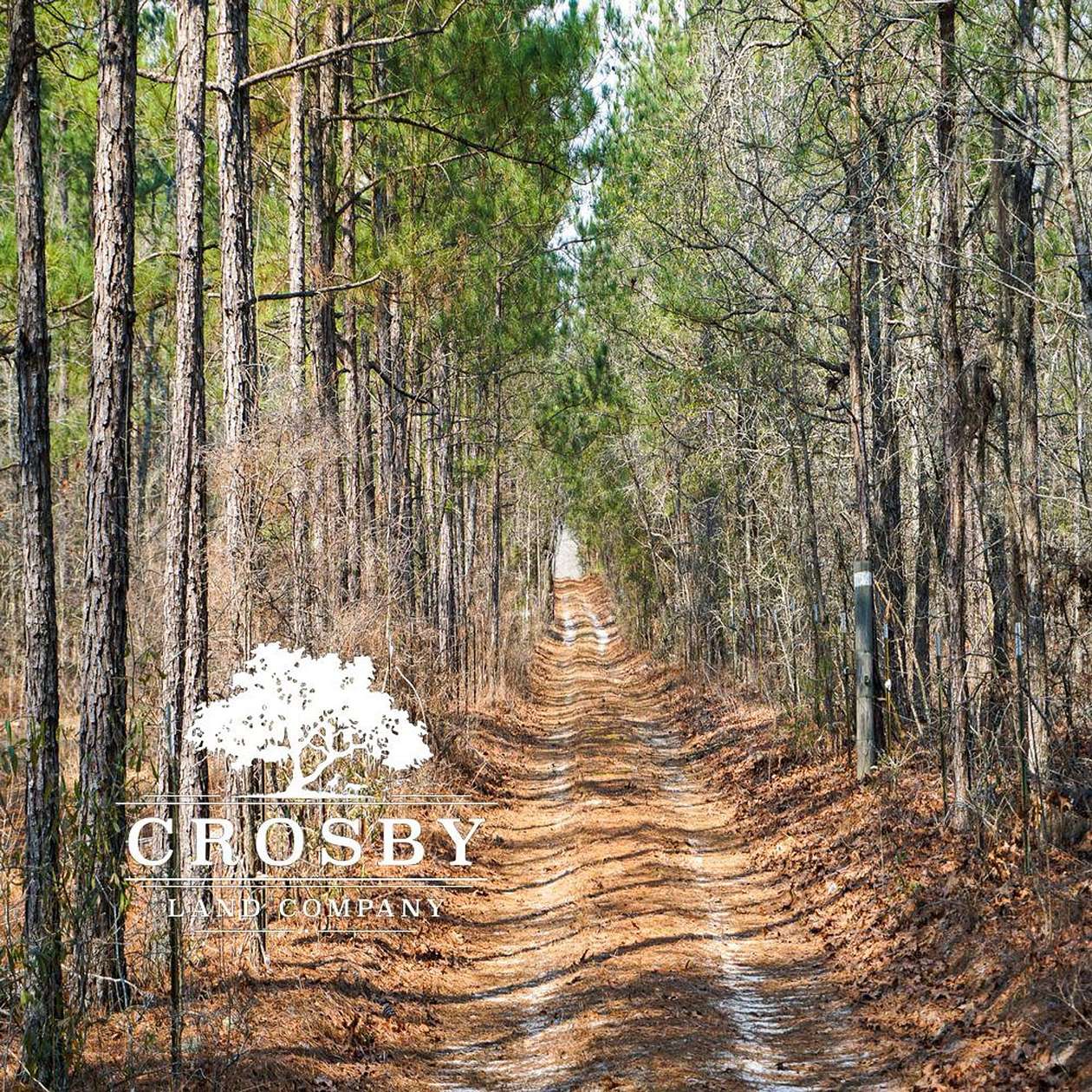 147 Acres of Recreational Land for Sale in Girard, Georgia
