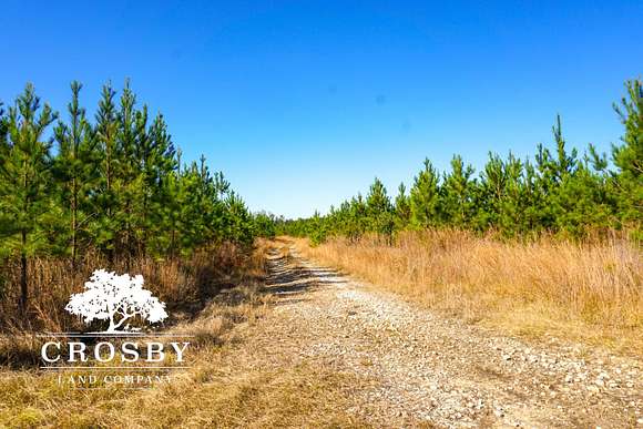 244 Acres of Recreational Land for Sale in Smoaks, South Carolina