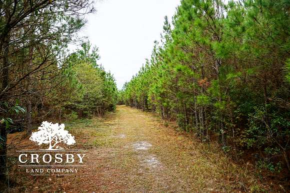 248 Acres of Recreational Land for Sale in Olar, South Carolina