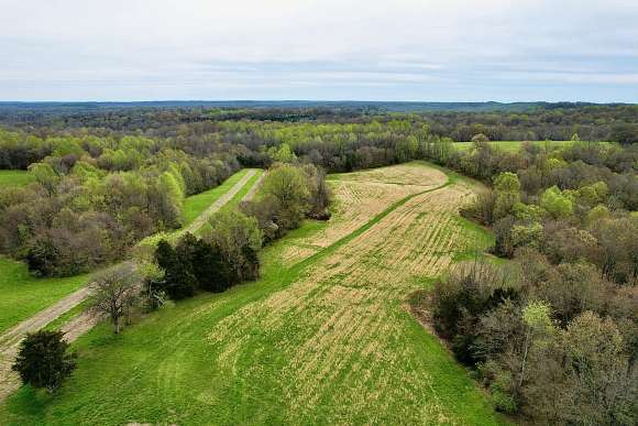 150 Acres of Recreational Land for Sale in Cypress, Illinois