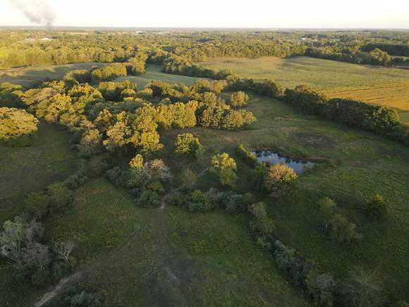 40 Acres of Recreational Land & Farm for Sale in Xenia, Illinois