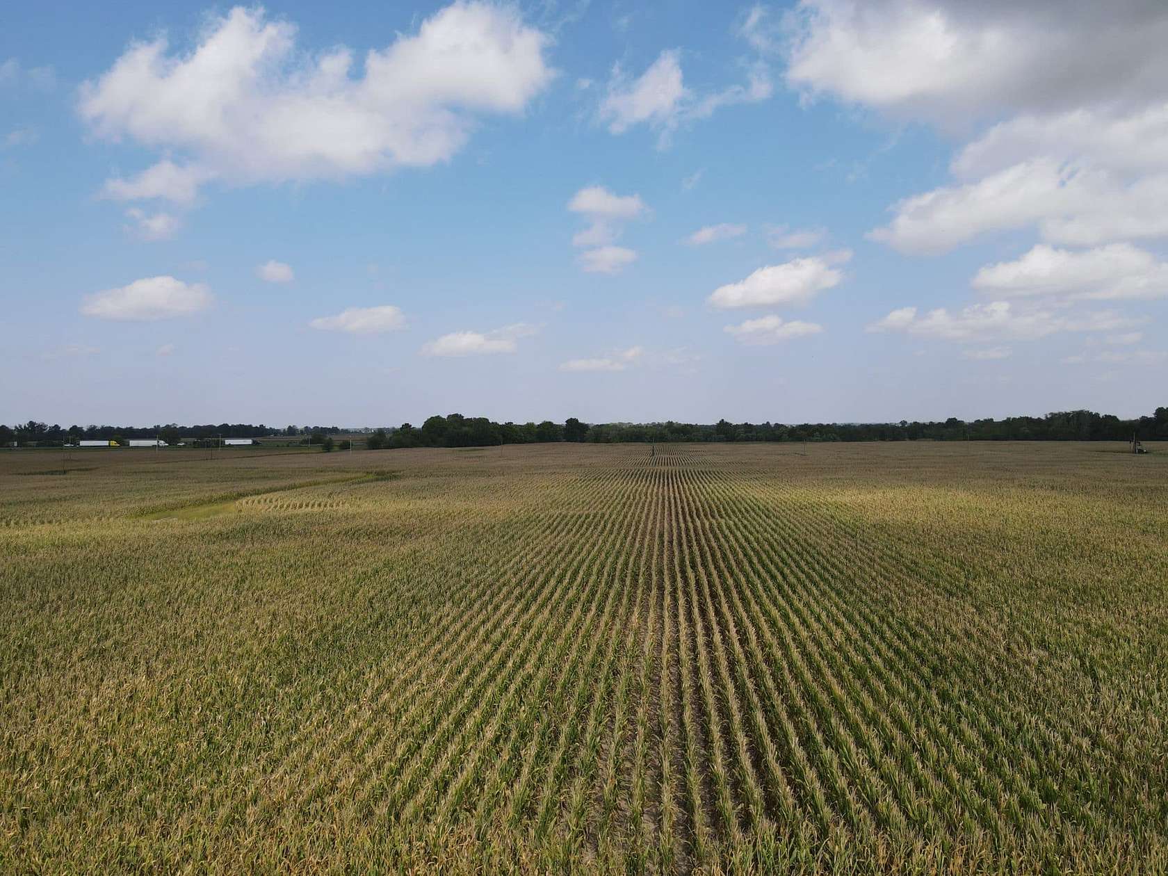 68 Acres of Recreational Land & Farm for Sale in Brownstown, Illinois