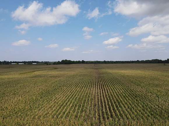 68 Acres of Recreational Land & Farm for Sale in Brownstown, Illinois