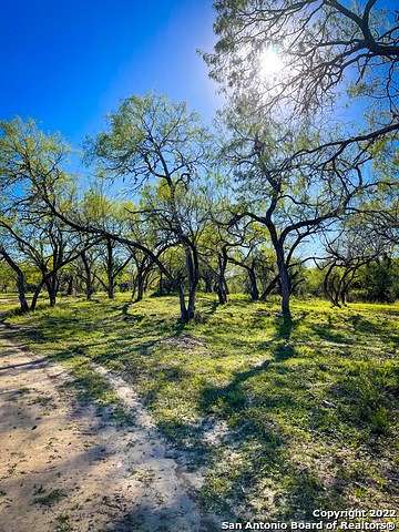 118 Acres of Land for Sale in Campbellton, Texas