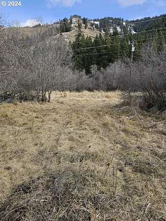 0.54 Acres of Land for Sale in Imnaha, Oregon