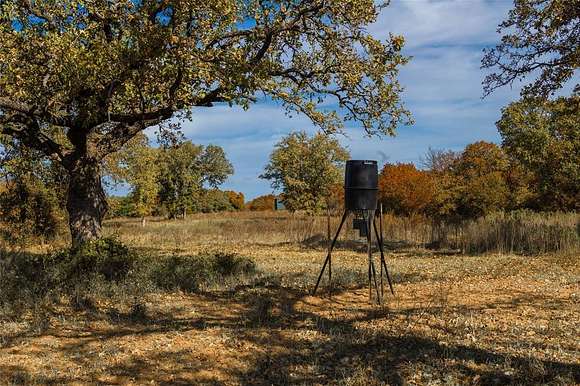 64.2 Acres of Land for Sale in Rising Star, Texas