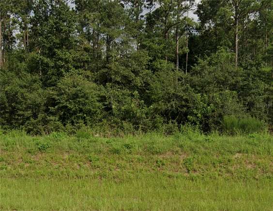 0.28 Acres of Residential Land for Sale in Chipley, Florida