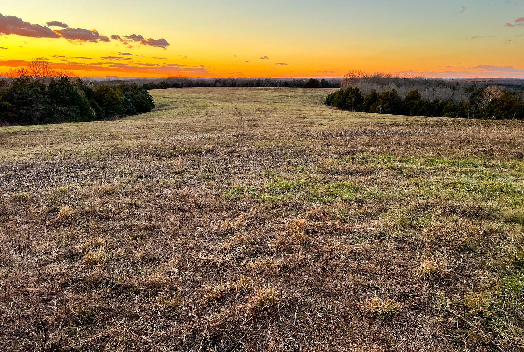 2,407 Acres of Recreational Land & Farm for Sale in Gainesville, Missouri