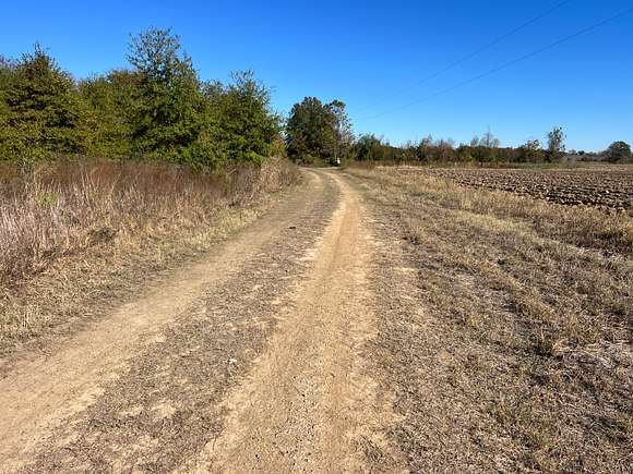 43 Acres of Recreational Land & Farm for Sale in Holly Ridge, Louisiana