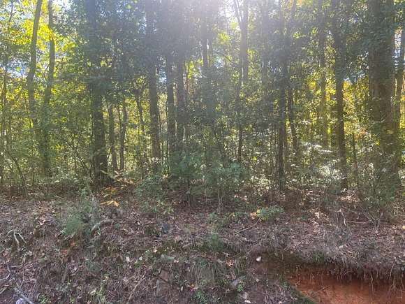 0.913 Acres of Residential Land for Sale in Jonesboro, Georgia