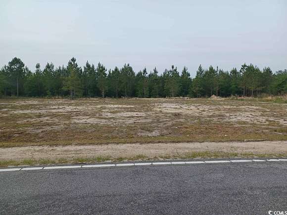 2 Acres of Residential Land for Sale in Marion, South Carolina