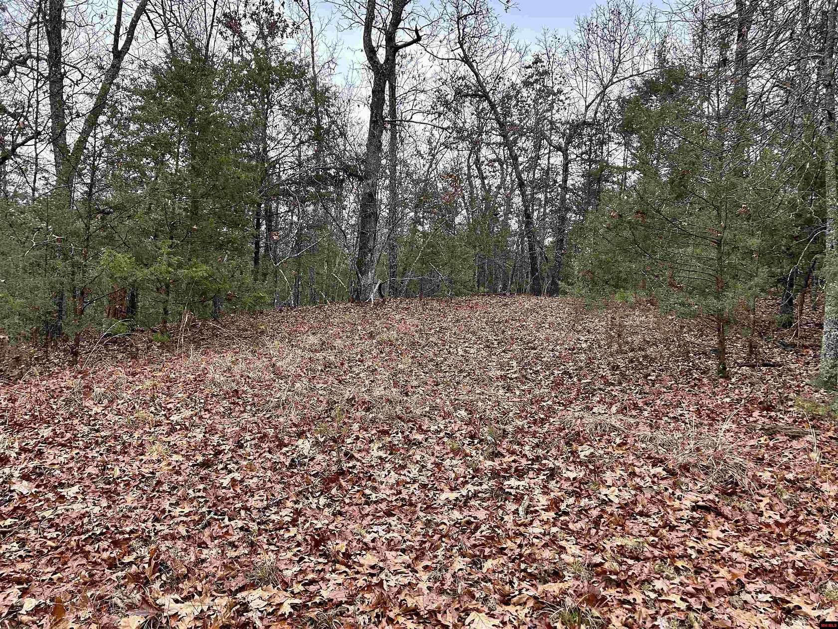 116 Acres of Recreational Land for Sale in Mountain Home, Arkansas
