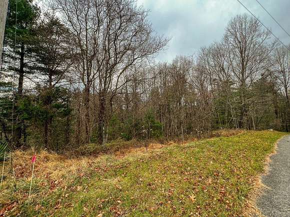 0.4 Acres of Residential Land for Sale in Fancy Gap, Virginia