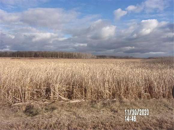16.8 Acres of Recreational Land for Sale in Browerville, Minnesota