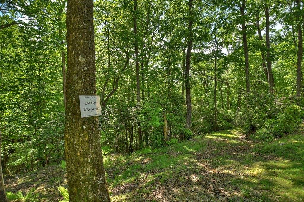 1.8 Acres of Residential Land for Sale in Morganton, Georgia