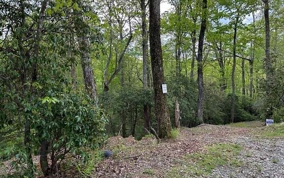 1.8 Acres of Residential Land for Sale in Morganton, Georgia