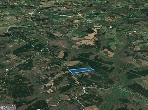 37.5 Acres of Recreational Land for Sale in Newborn, Georgia