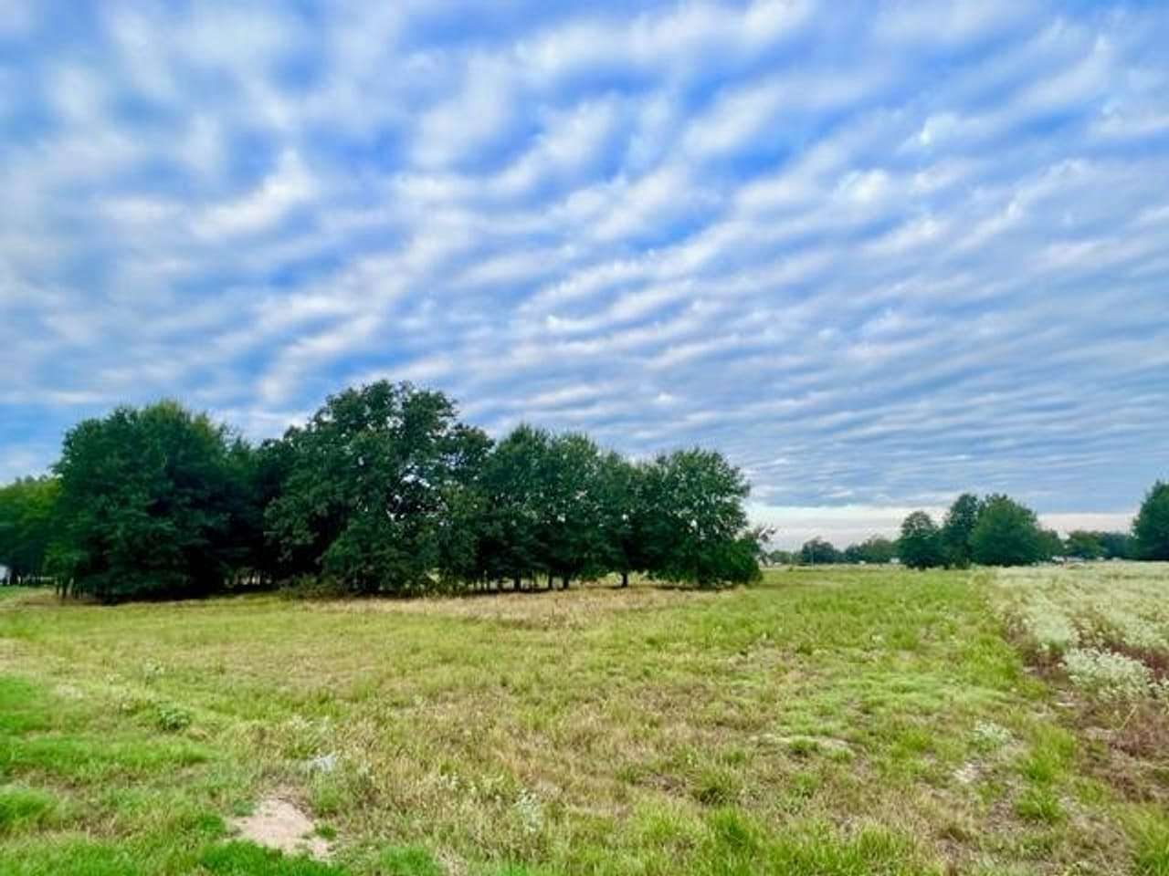 2.6 Acres of Recreational Land for Sale in Blossom, Texas