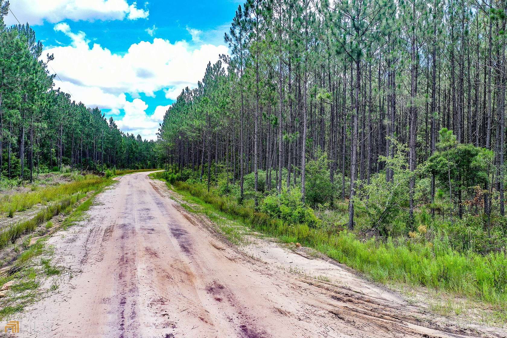 314 Acres of Recreational Land for Sale in Waycross, Georgia