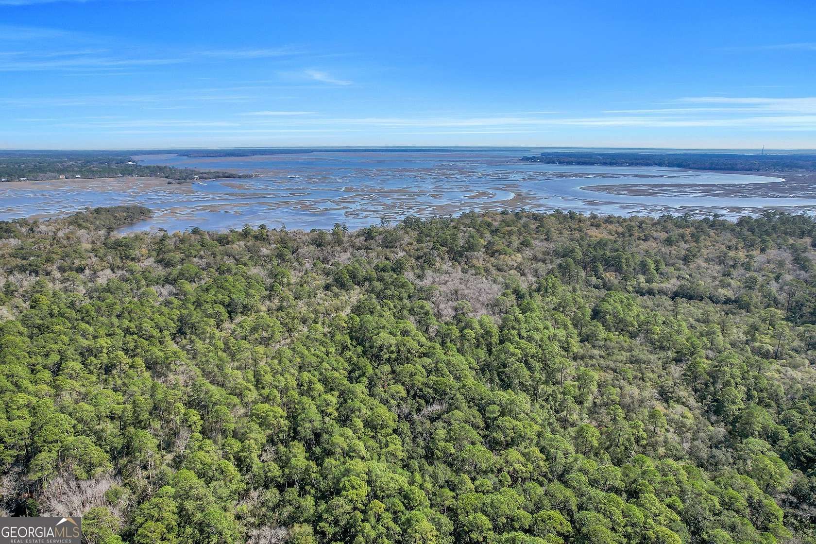 125 Acres of Agricultural Land for Sale in Woodbine, Georgia