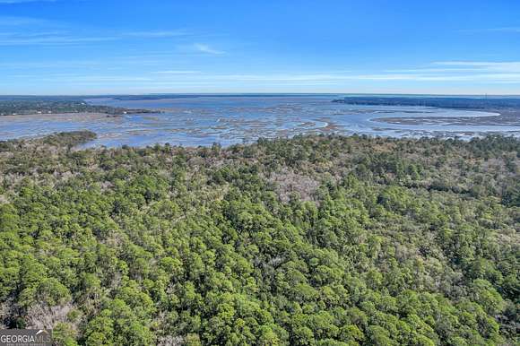 125 Acres of Agricultural Land for Sale in Woodbine, Georgia